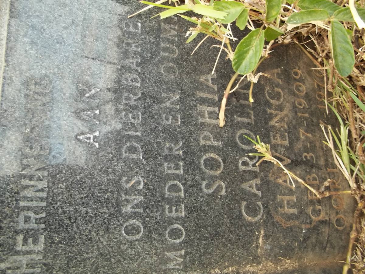 HAVENGA Sophia Carolina 1909-1976
