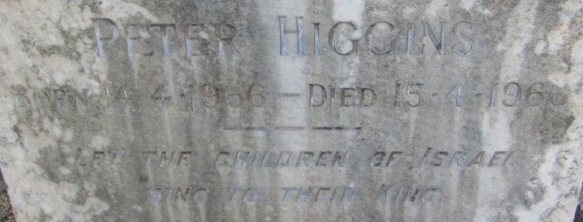 HIGGINS Peter 1966-1966