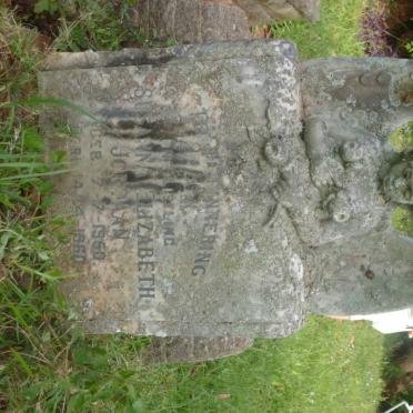 JORDAAN Susanna Elizabeth 1950-1960