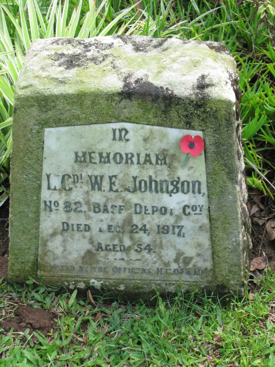 JOHNSON W.E. -1917