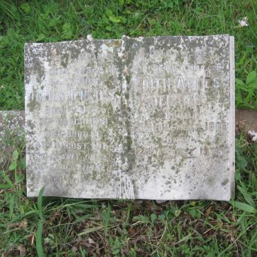JENKINS James 1891-1961 &amp; Edith Agnes 1888-1976
