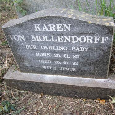 MOLLENDORFF Karen, von 1982-1982