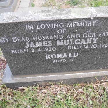 MULCAHY James 1920-1966 :: MULCAHY Ronald
