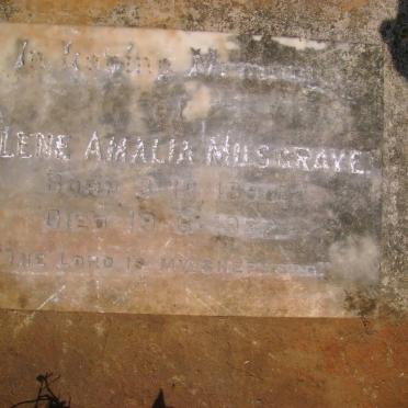 MUSGRAVE Helene Amalia 1890-1932 