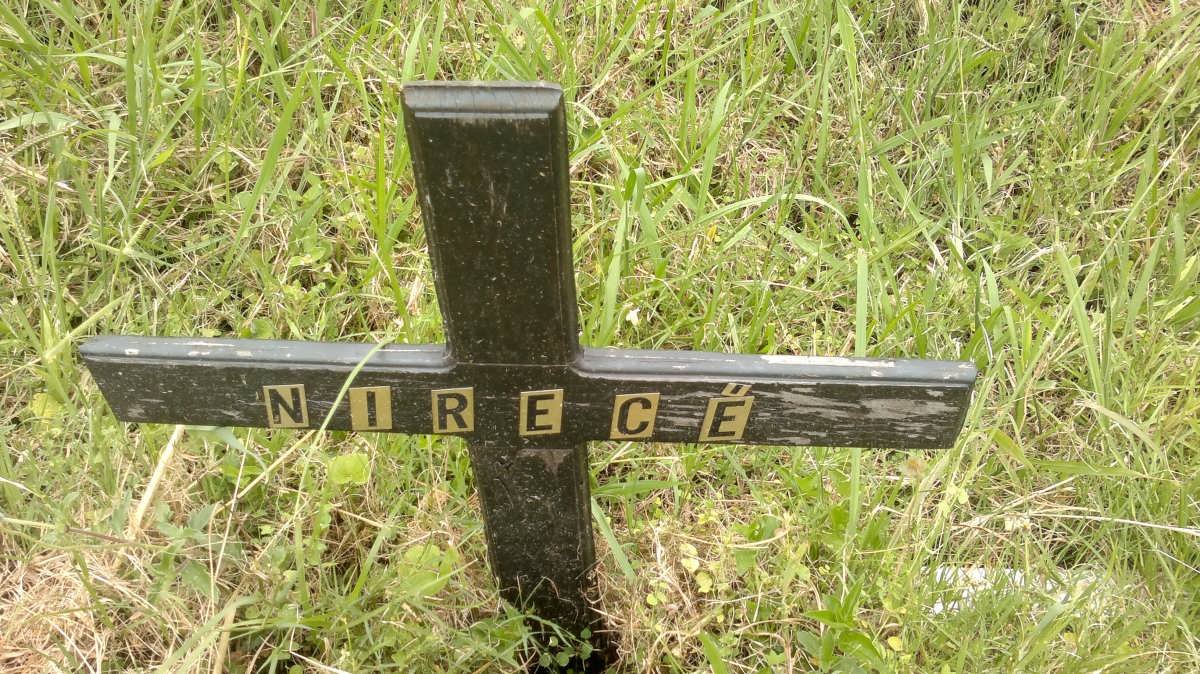 MEYER Nirece, de -2004