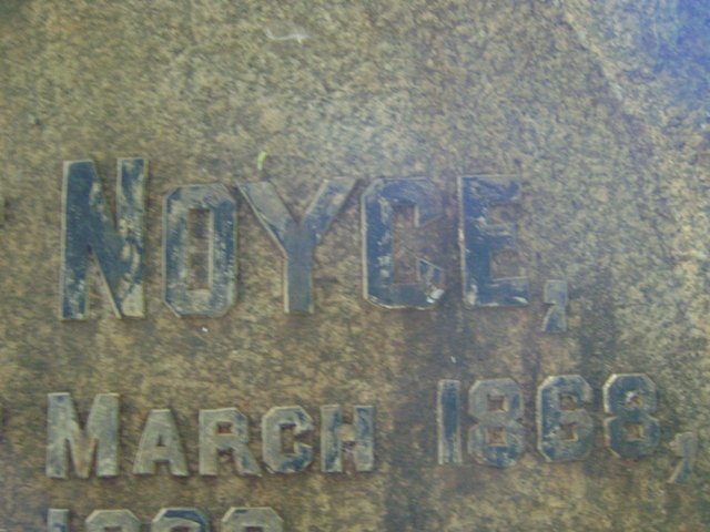 NOYCE Ernest Albert 1868-1933