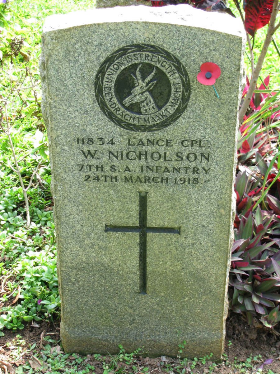 NICHOLSON W. -1918 11834