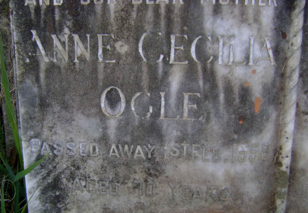 OGLE Anne Cecilia -1959 :: OGLE Wallace Charles 1948-1979 :: OGLE William Wallace 1923-1983