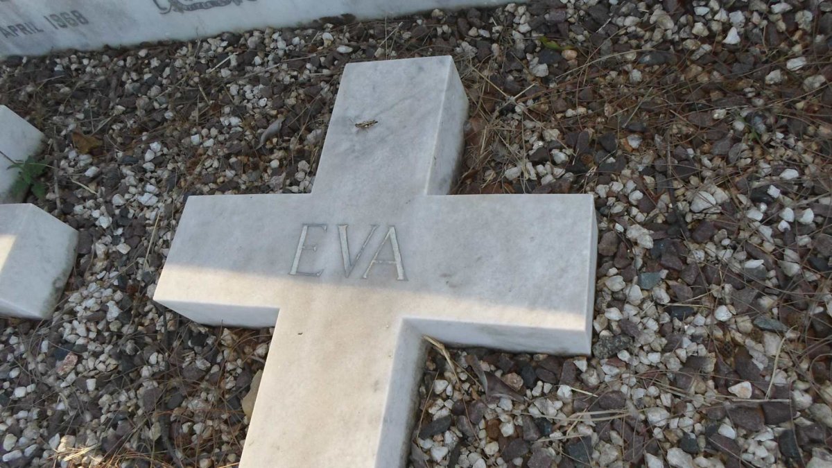 Eva