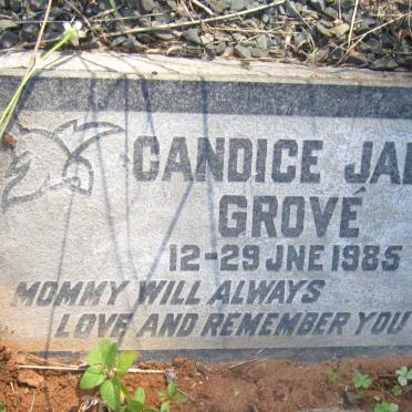 GROVÉ Candice Jade -1985
