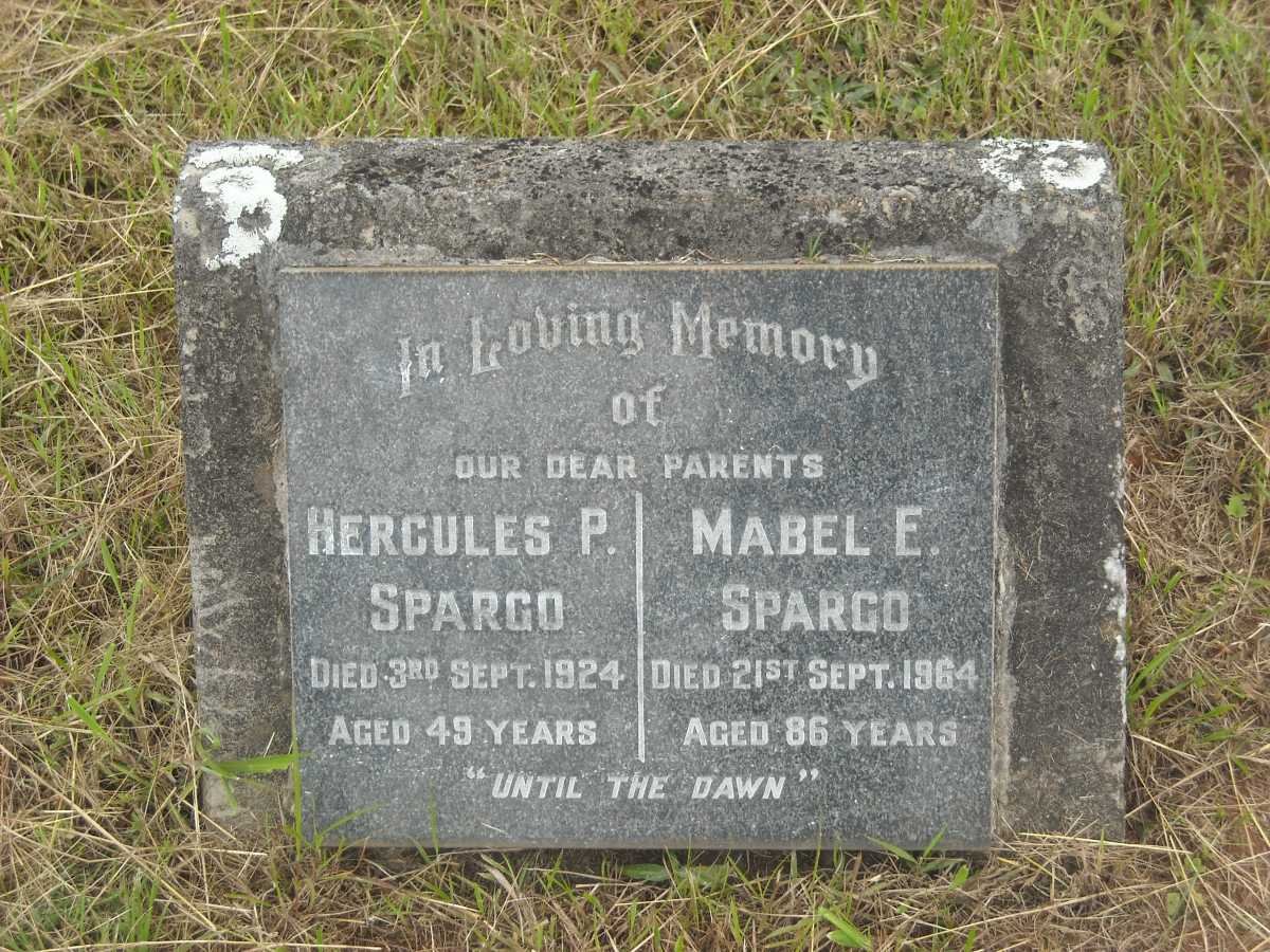 SPARGO Hercules P. -1924 &amp; Mabel E. -1964