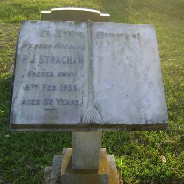 STRACHAN P.J. -1955