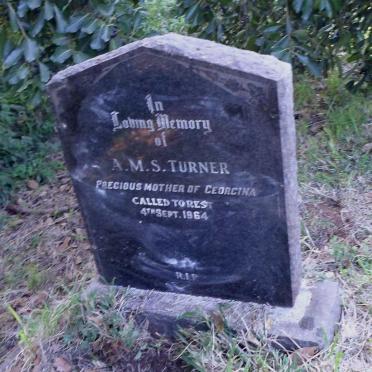 TURNER A.M.S. -1964