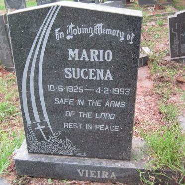 VIEIRA Mario Sucena 1925-1993