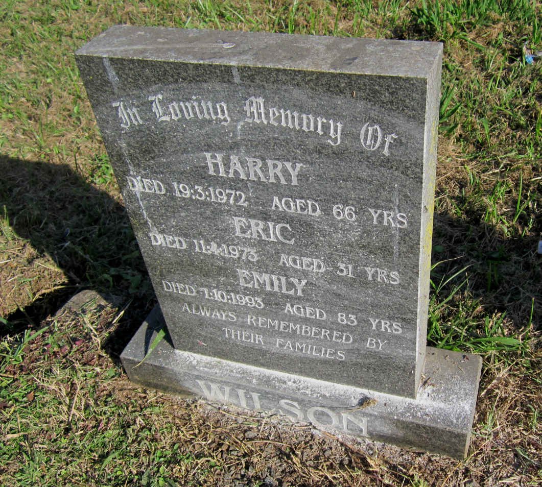 WILSON Harry -1972 :: WILSON Eric -1973 :: WILSON Emily -1993