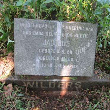 WILDERS Jacobus 1980-1980