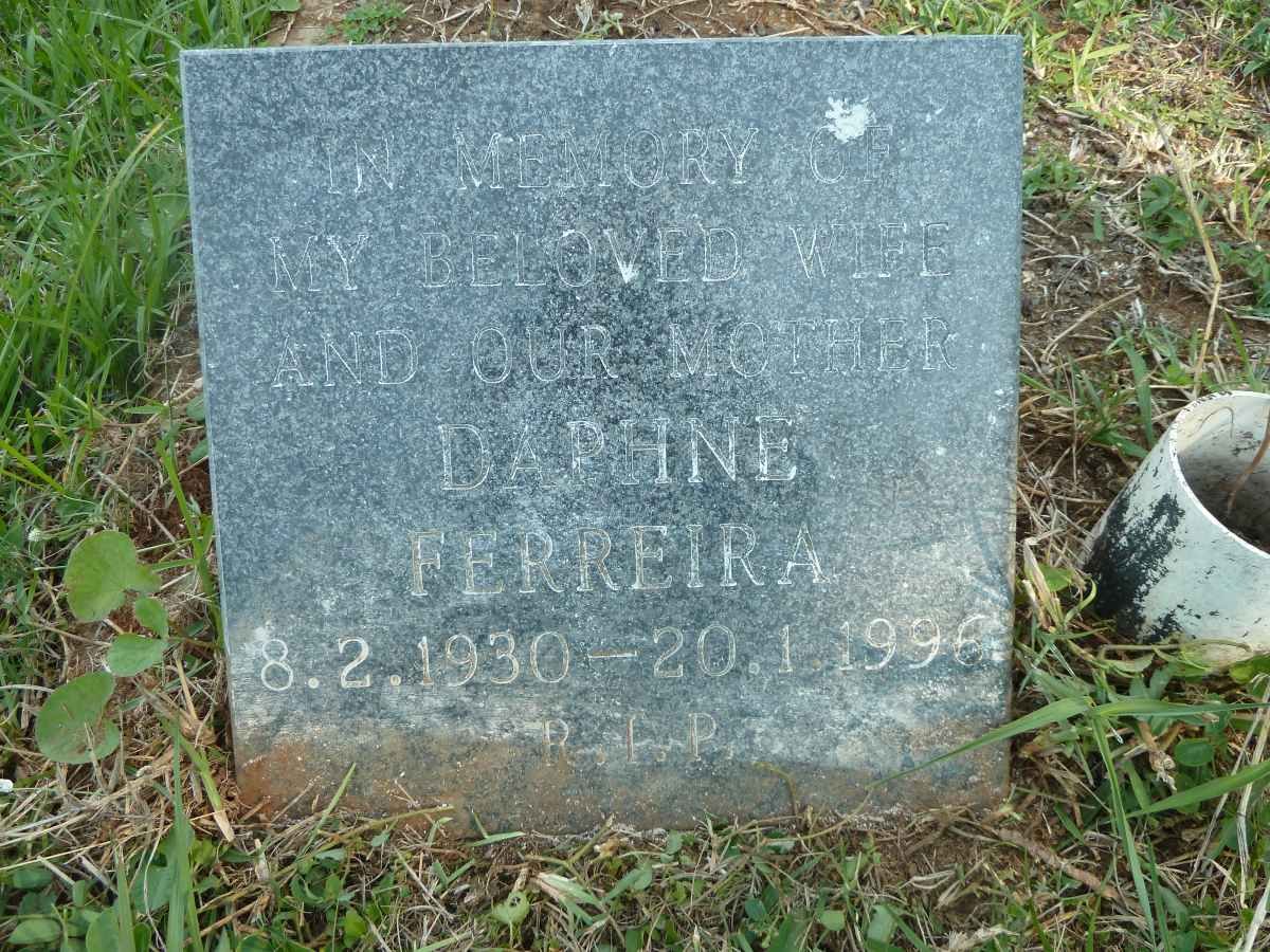 WEBSTER Andrew Maher 1892-1967 &amp; Cecelia Johanna 1893-1976 :: FERREIRA Daphne 1930-1996