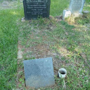 WEBSTER Andrew Maher 1892-1967 &amp; Cecelia Johanna 1893-1976 :: FERREIRA Daphne 1930-1996