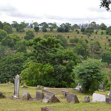 19. Overview