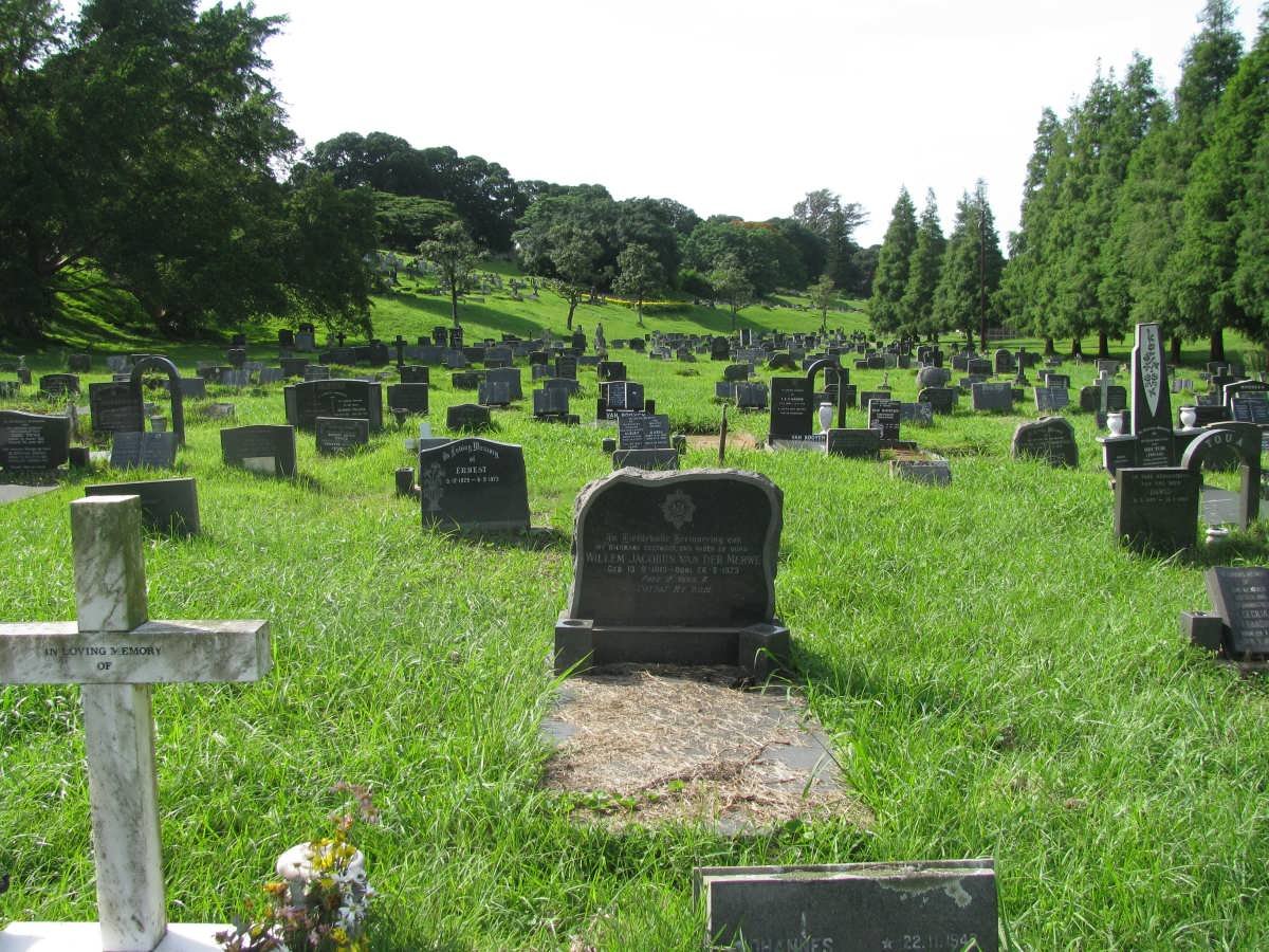 08. Overview