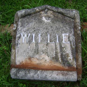 ? Willie