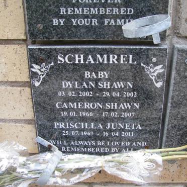 SCHAMREL Cameron Shawn 1966-2007 &amp; Pricilla Juneta 1967-2011 :: SCHAMREL Dylan Shawn 2002-2002