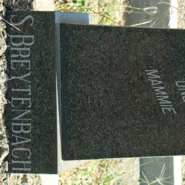 BREYTENBACH S. 1879-1969 