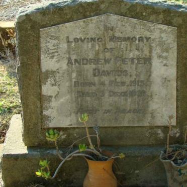 DAVIDS Andrew Peter 1915-1938