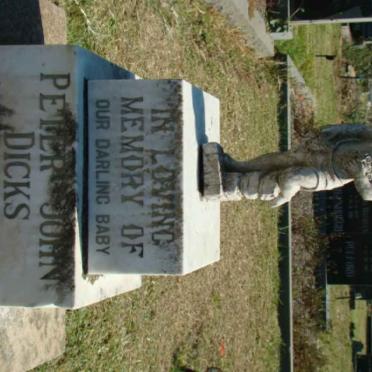 DICKS Peter John 1961-1961