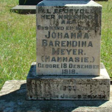 MEYER Johanna Barendina 1918-1930