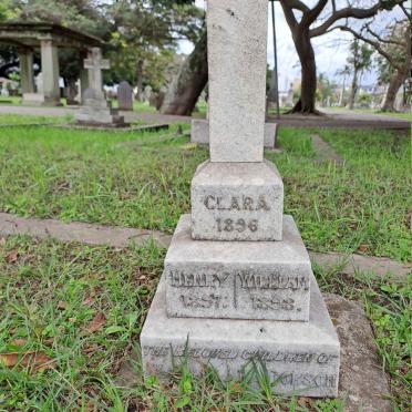 DOBSON Clara -1896 :: DOBSON Henry -1897 :: DOBSON William -1898