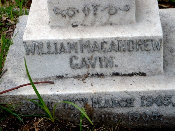 GAVIN William MacAndrew -1905