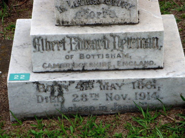 NEWMAN Albert Edward 1861-1914