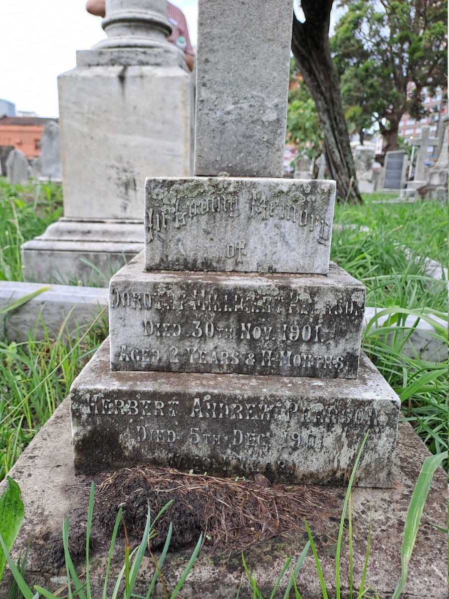 PEARSON Herbert Andrew -1901 & Dorothy Milligan -1901