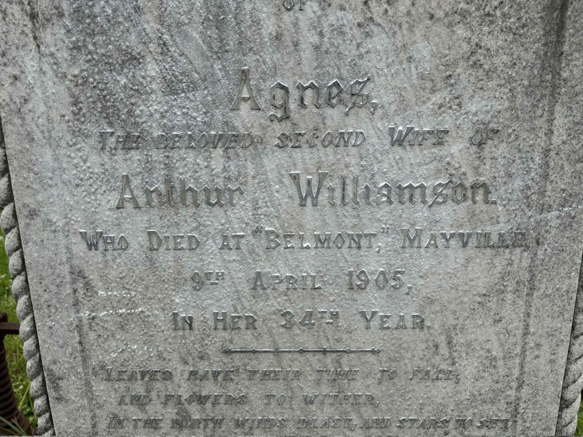 WILLIAMSON Agnes -1905