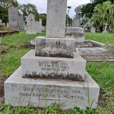 WILKINS Wilfred -1915