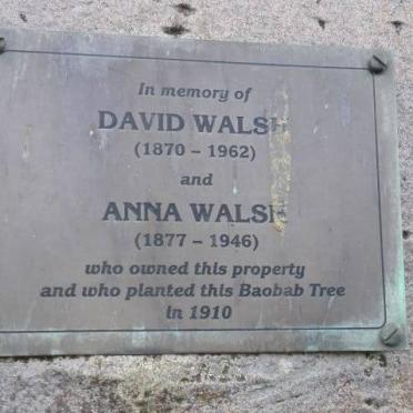WALSH David 1870-1962 &amp; Anna 1877-1946