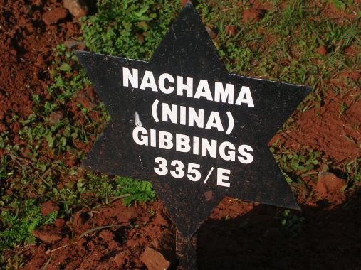 GIBBINGS Nachama