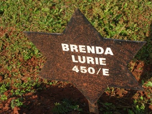 LURIE Brenda