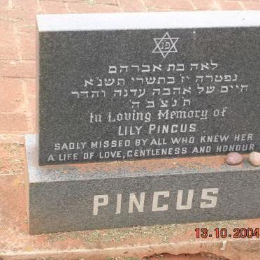 PINCUS Lily