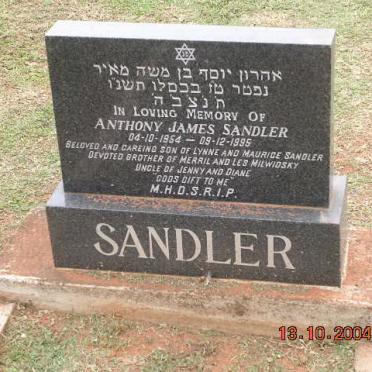 SANDLER Anthony James 1954-1995
