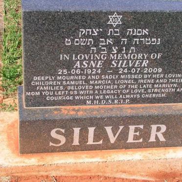 SILVER Asne 1924-2009