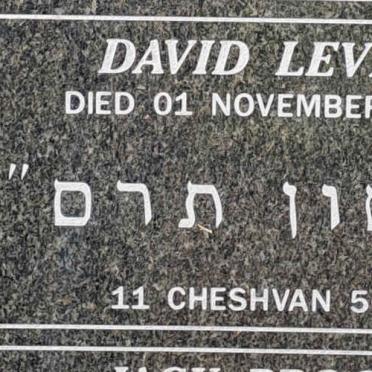 LEVINE David -1903