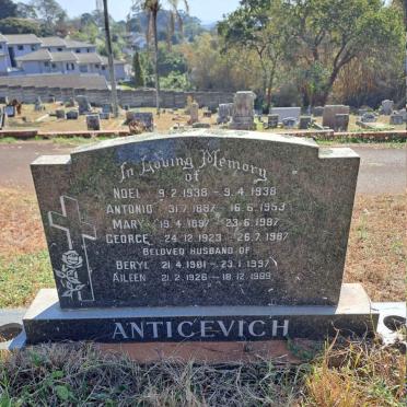 ANTICEVICH 