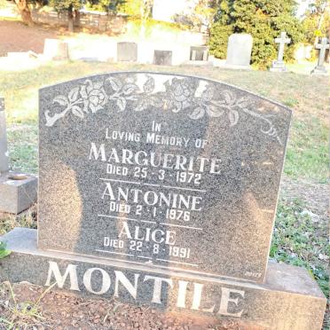 MONTILE Marguerite -1972 :: MONTILE Antonine -1976 :: MONTILE Alice -1991