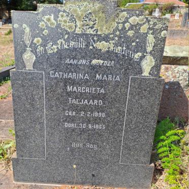 T-Surnames