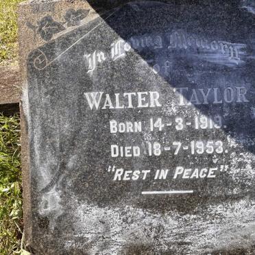TAYLOR Walter 1919-1953
