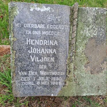 VILJOEN Hendrina Johanna nee VAN DER WESTHUIZEN 1930-1966