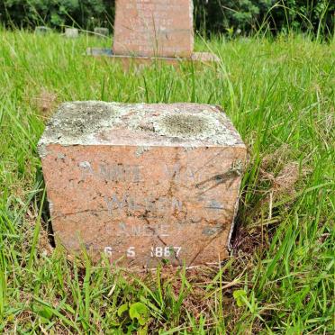 WILSON Annie May 1887-