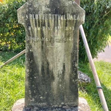 UMLAW Charlotte Bethel 1893-1921